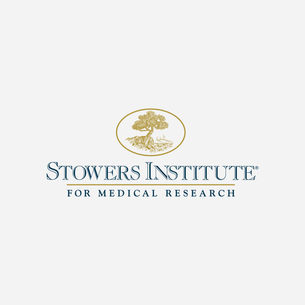SIMR_Logo_Previous