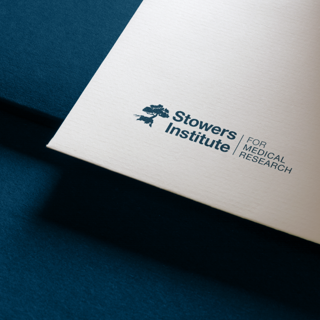 SIMR_Logo_Stationery_Mockup