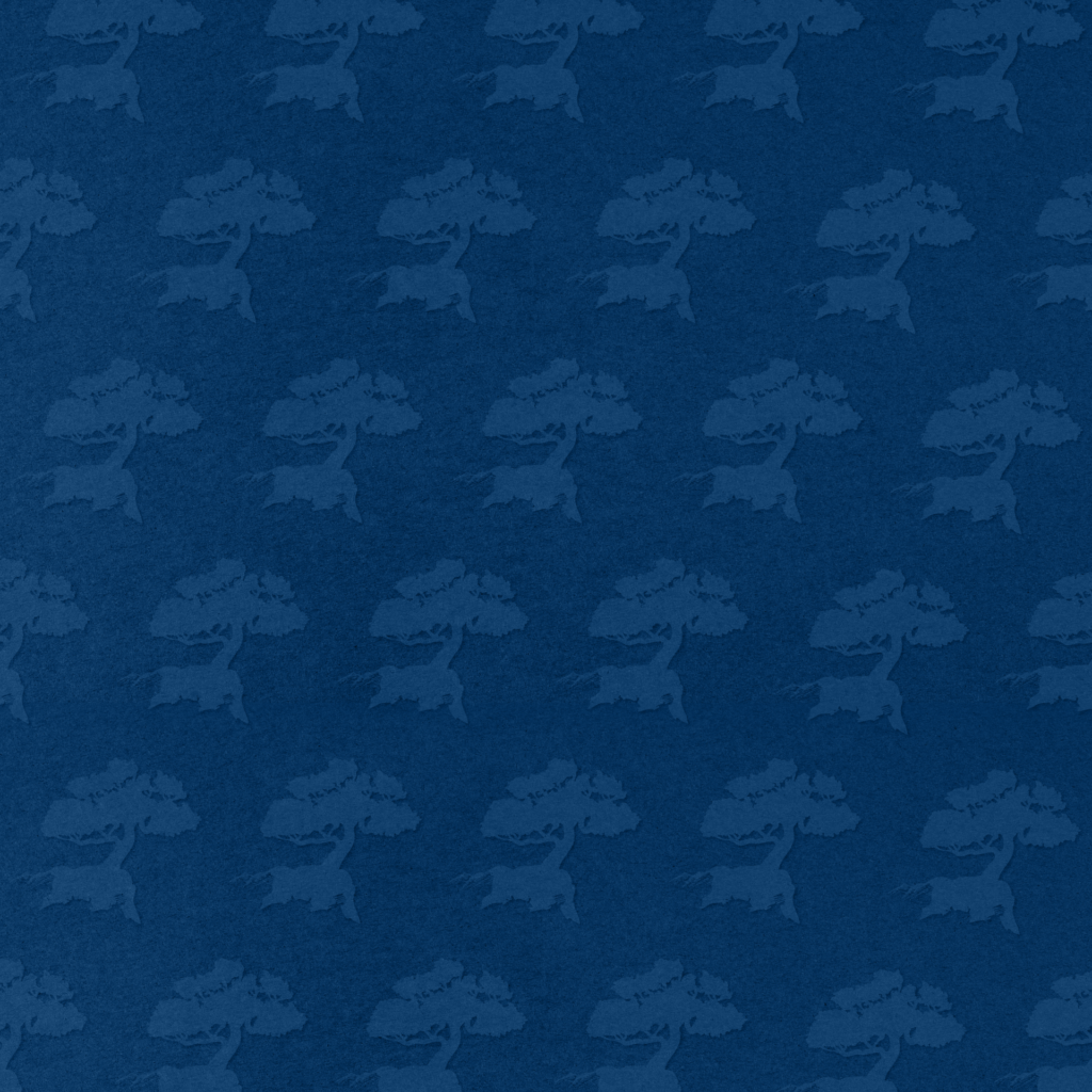 SIMR_Embossed_Accent_Pattern