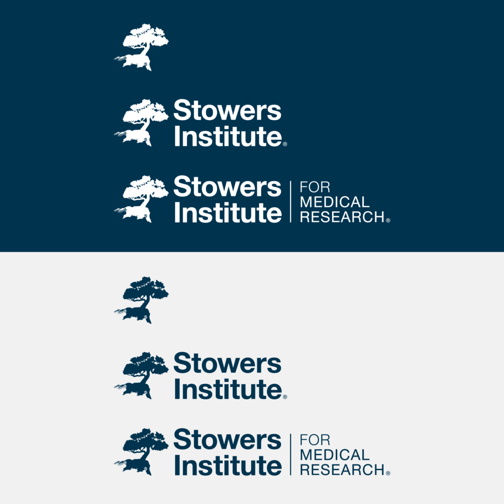 SIMR_Logo_Assets
