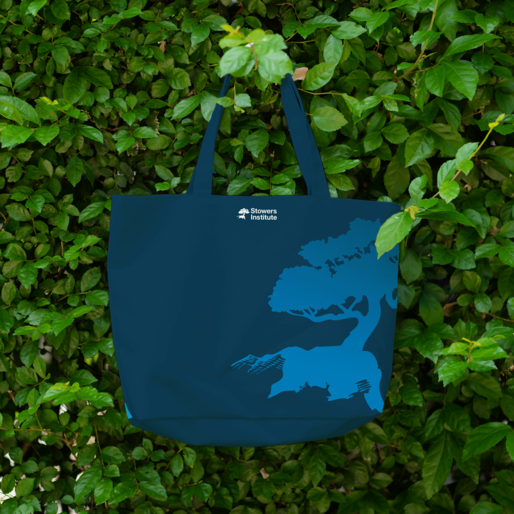 SIMR_Tote_B
