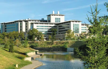 Stowers Institute: Sparkcade Brand Strategy and Website